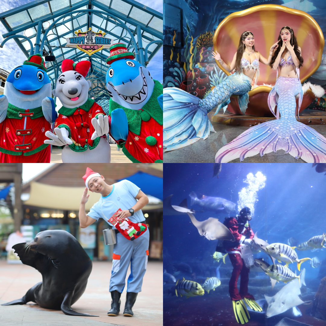 嗨玩派 (37).png (1.72 MB)