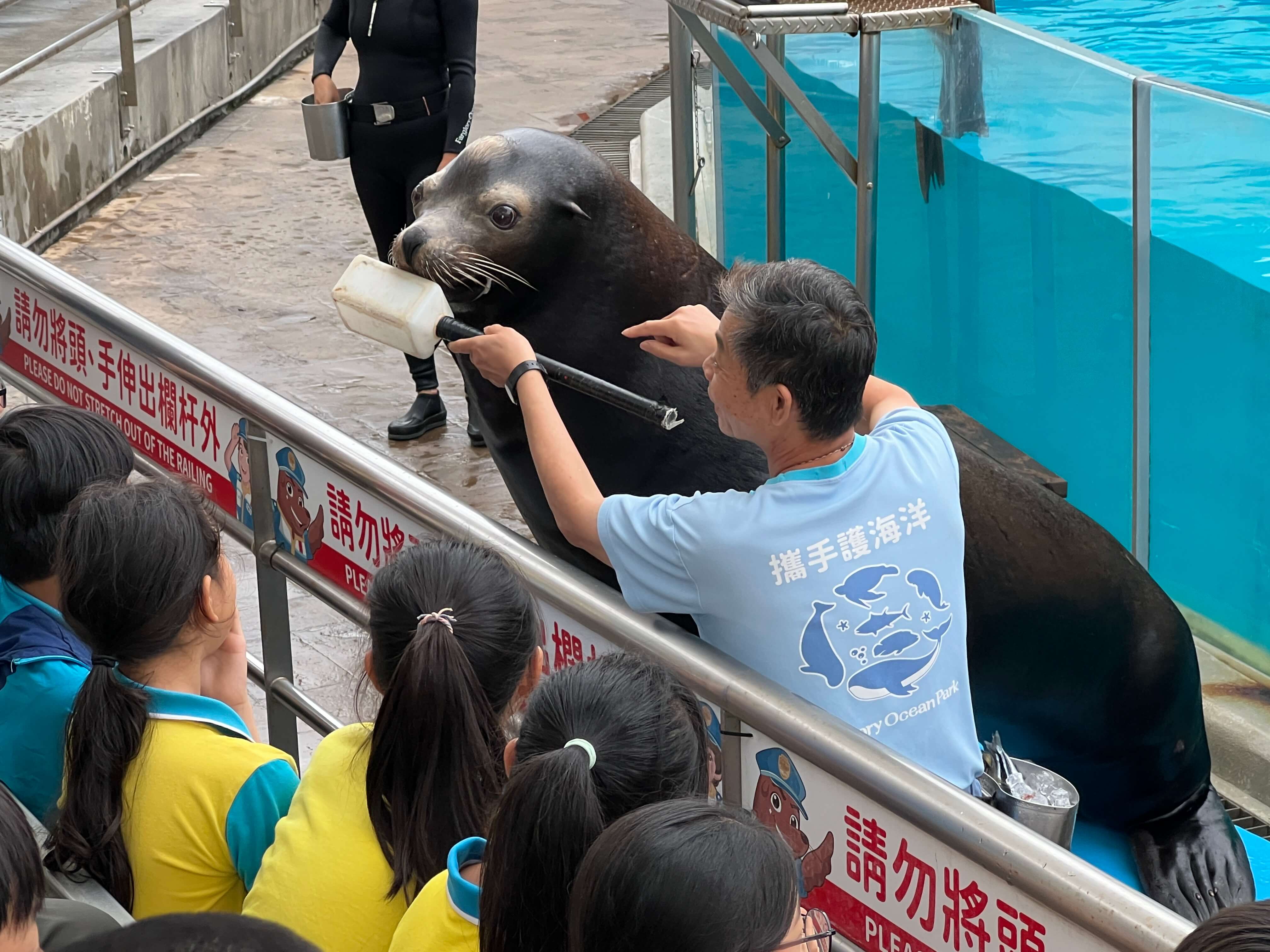 小小訓練師體驗課程_海獅.jpg (659 KB)