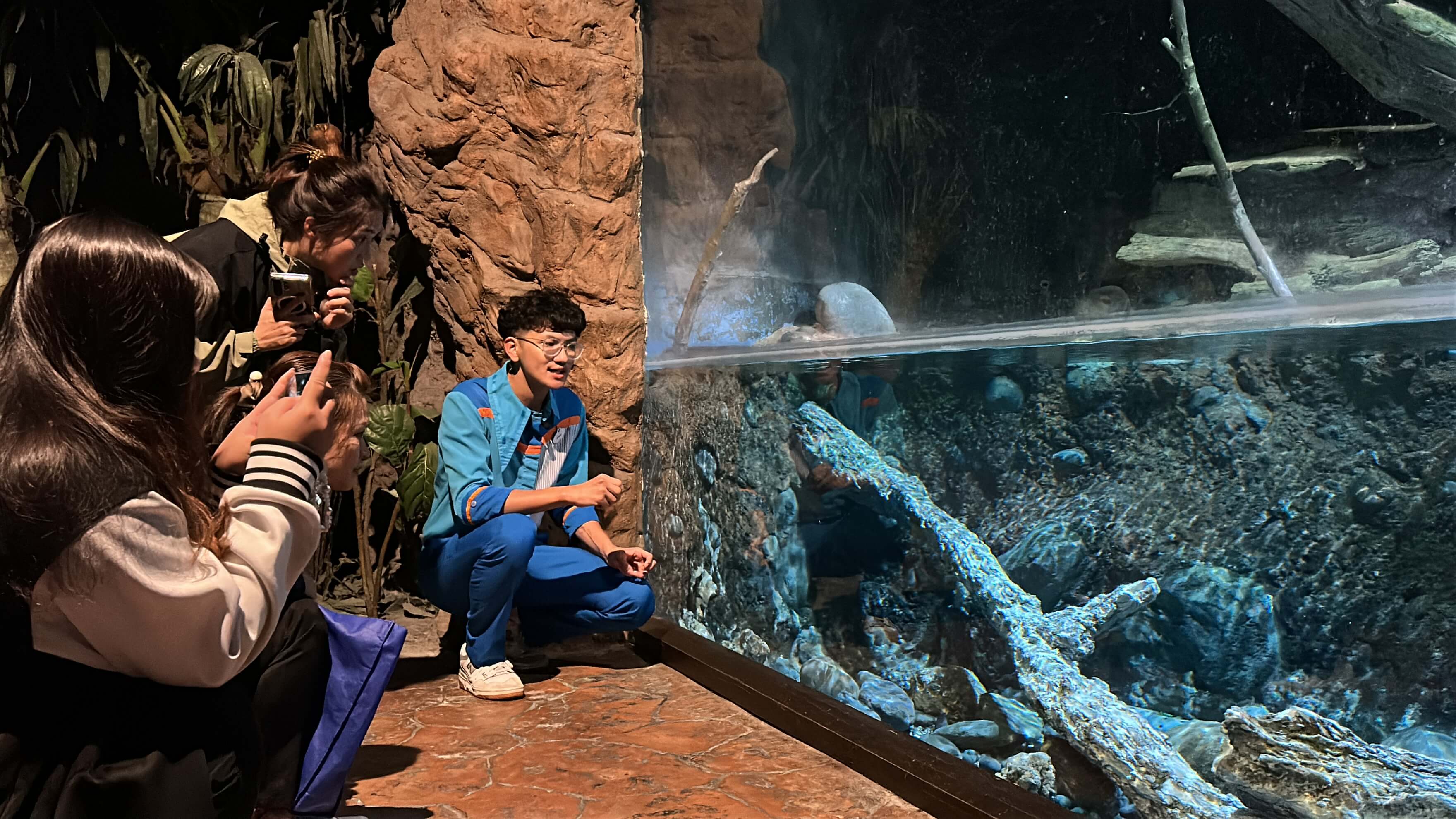 豬鼻龜1 (1).jpg (640 KB)