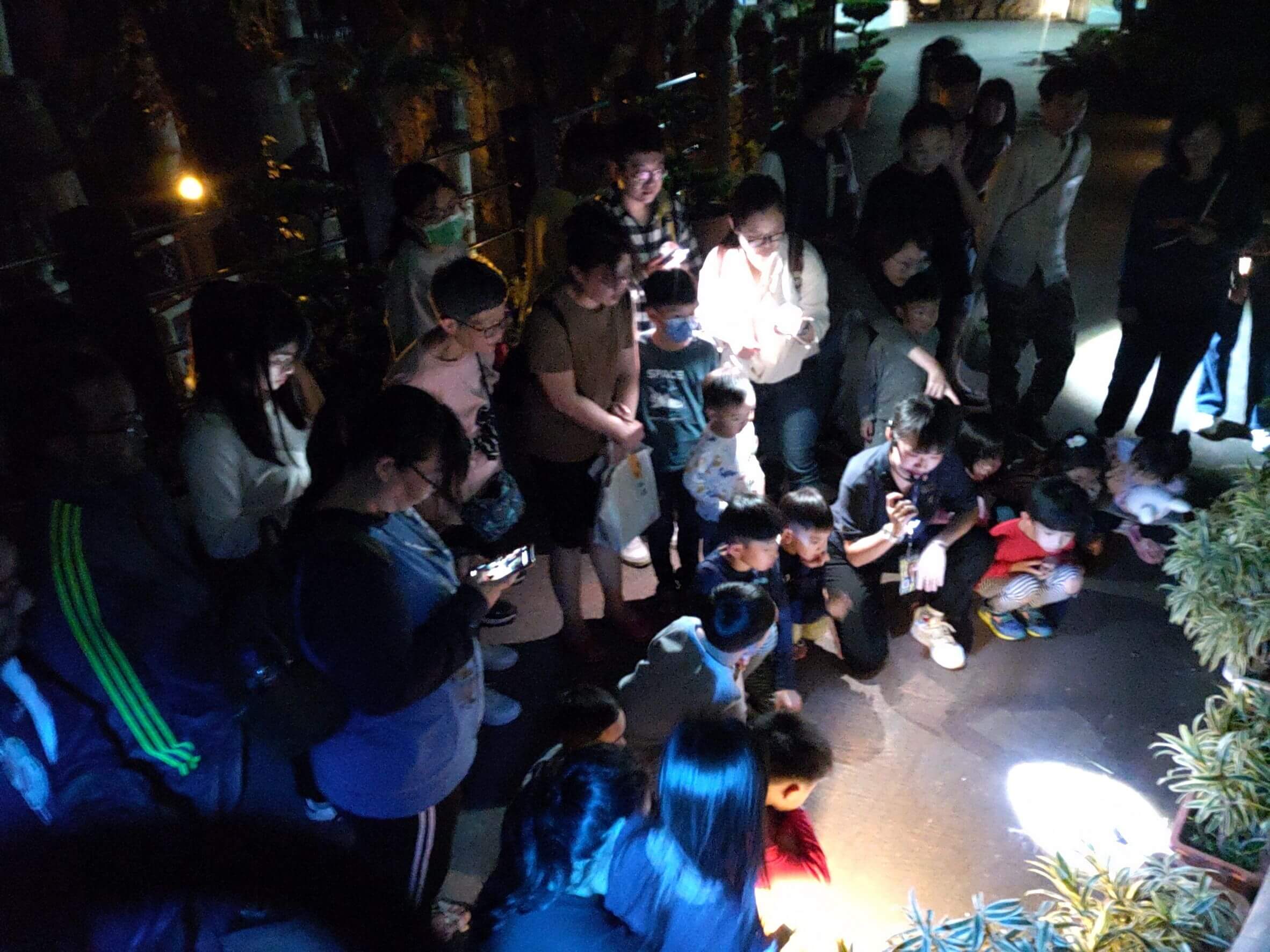響應世界關燈日,邀夜未眠住客走出戶外觀察海洋公園園內青蛙生態01.jpg (315 KB)
