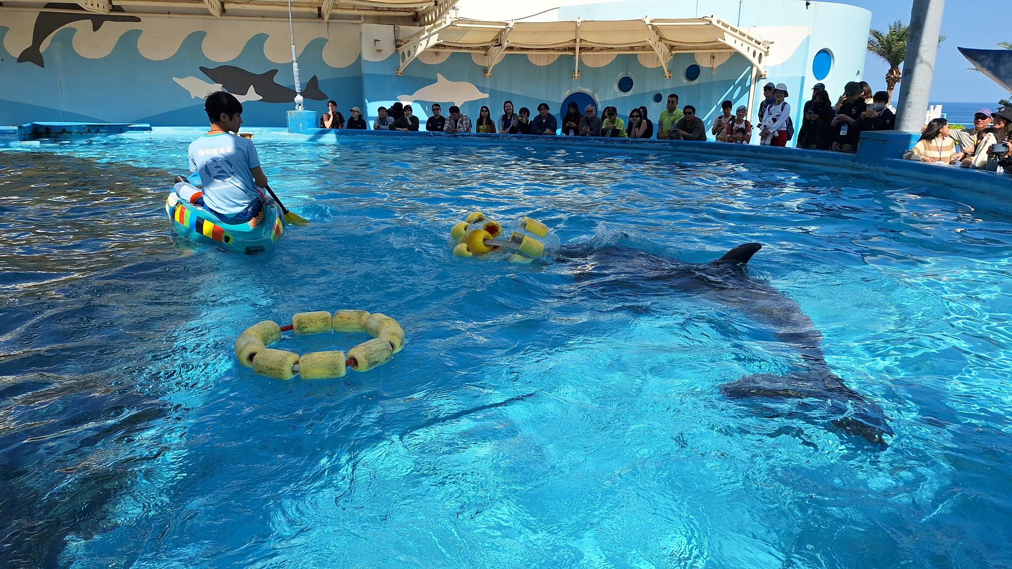 20250322_ 144246.jpg (623 KB)