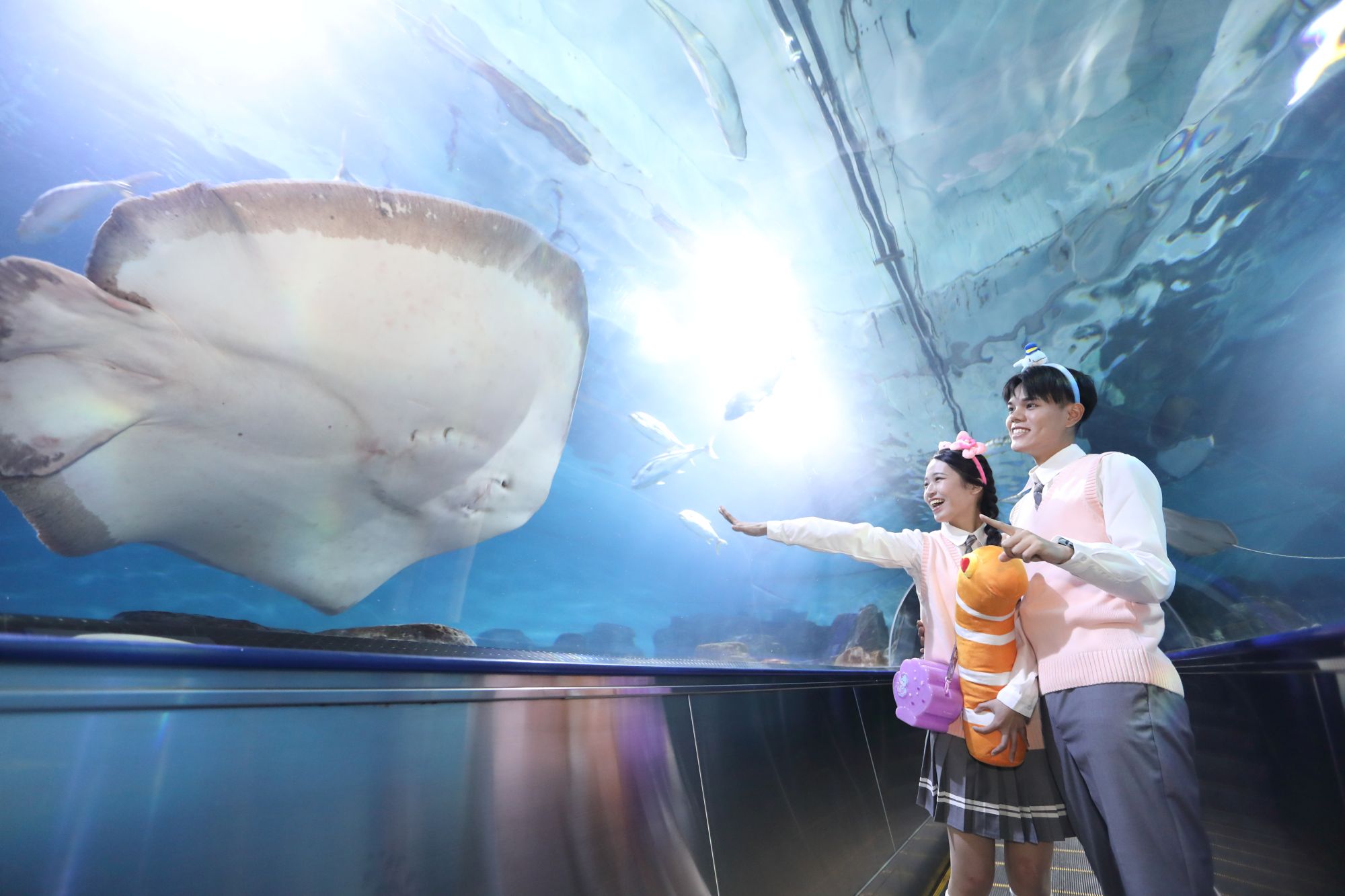 IMG_    7743.jpg (209 KB)