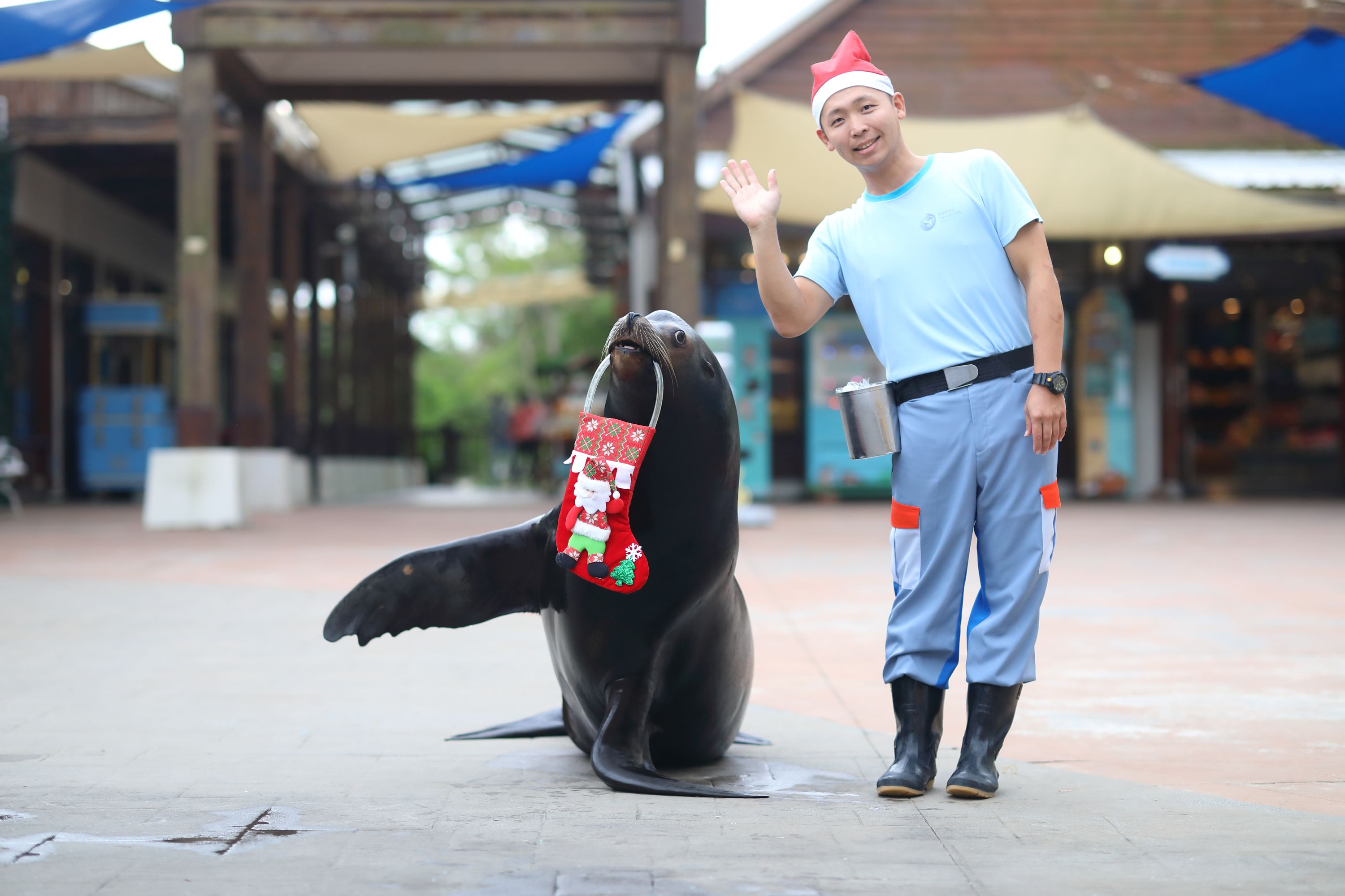 IMG_  0034.JPG (383 KB)