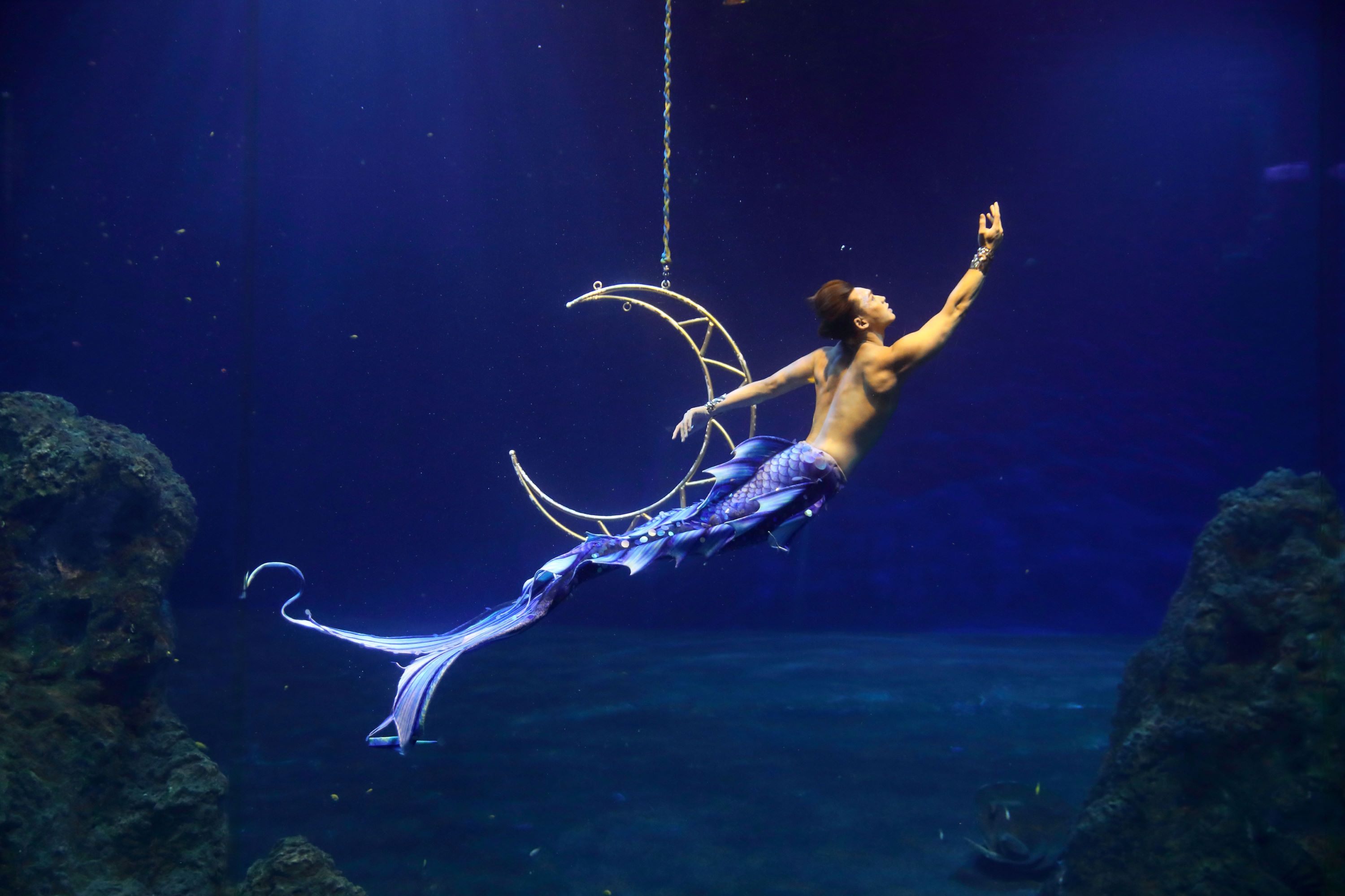 IMG_ 0156.jpg (349 KB)