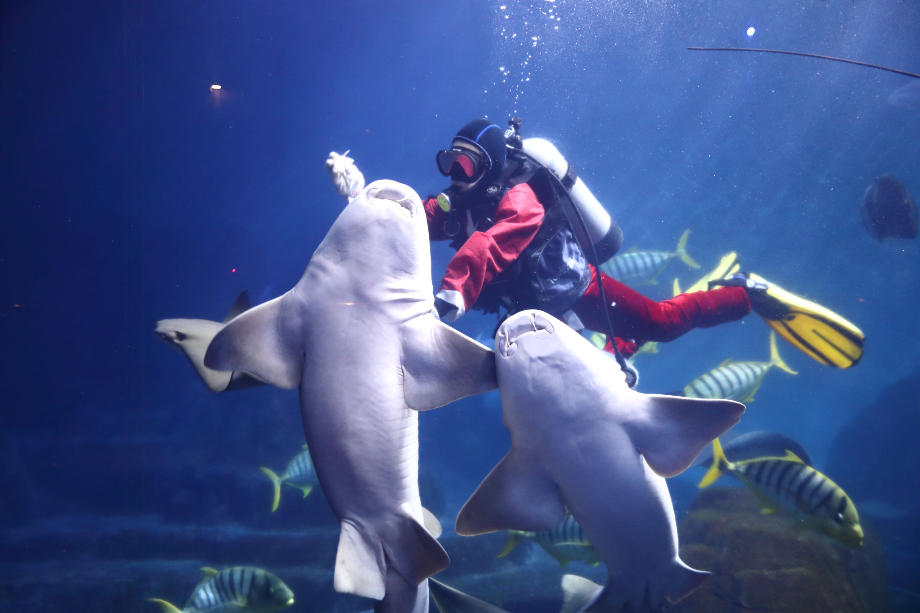 IMG_ 0516.jpg (386 KB)