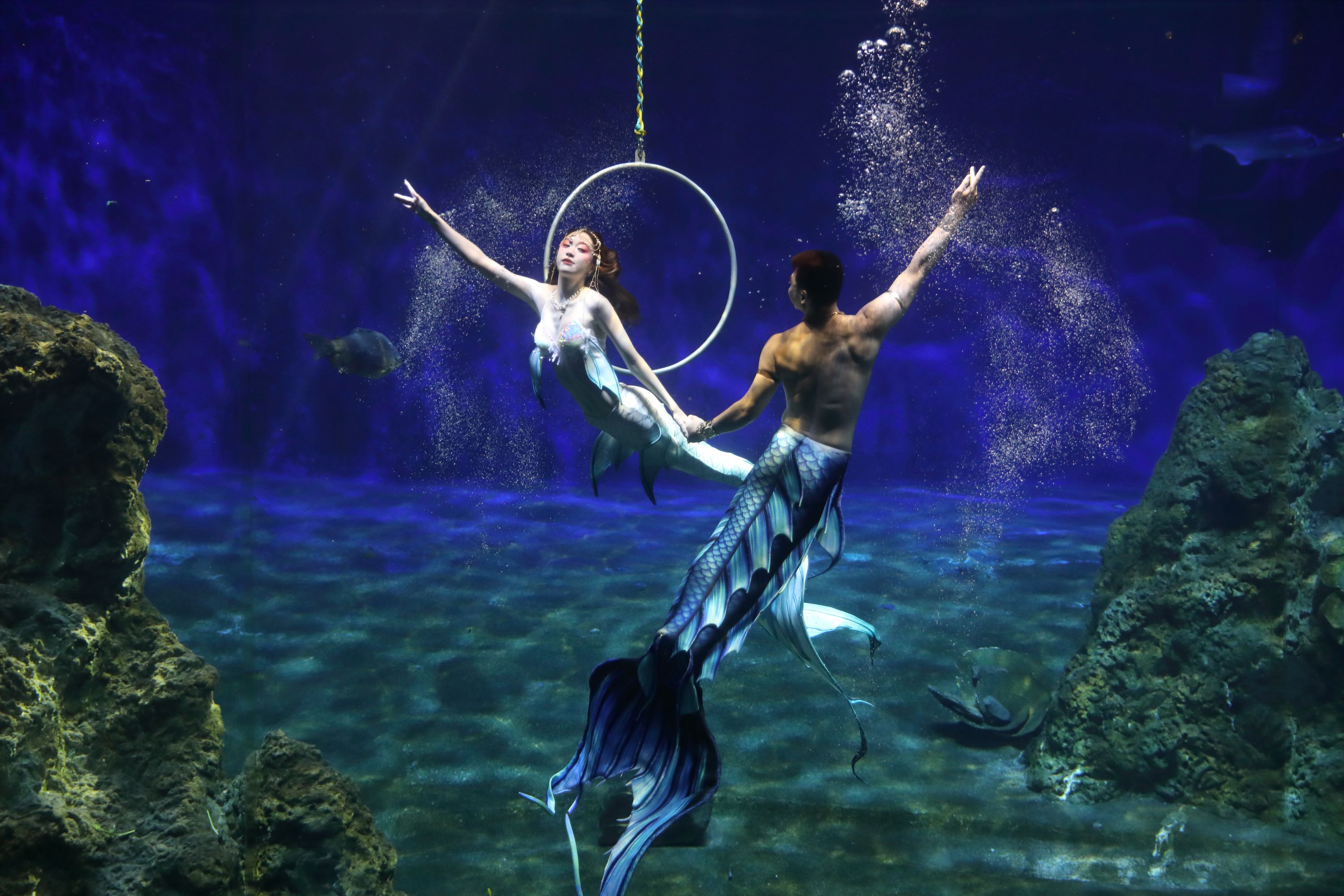 IMG_ 3658_0.jpg (609 KB)