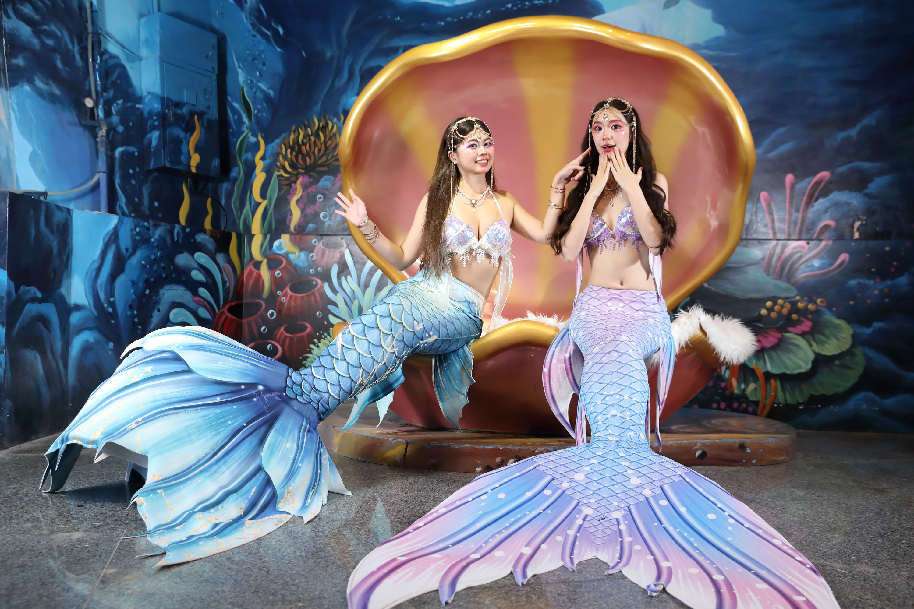 IMG_0374.JPG (737 KB)