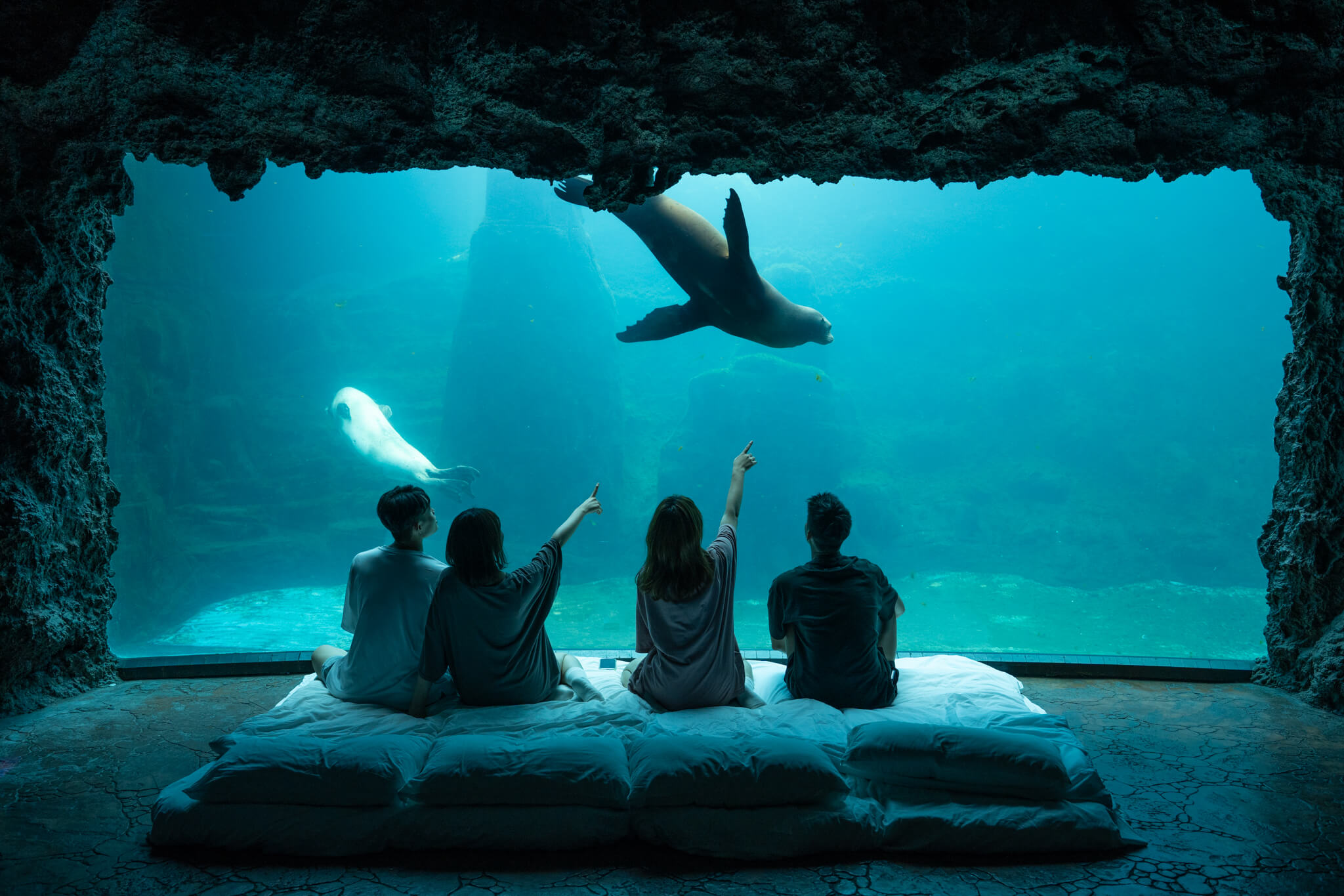 JWSS00430-2.jpg (327 KB)