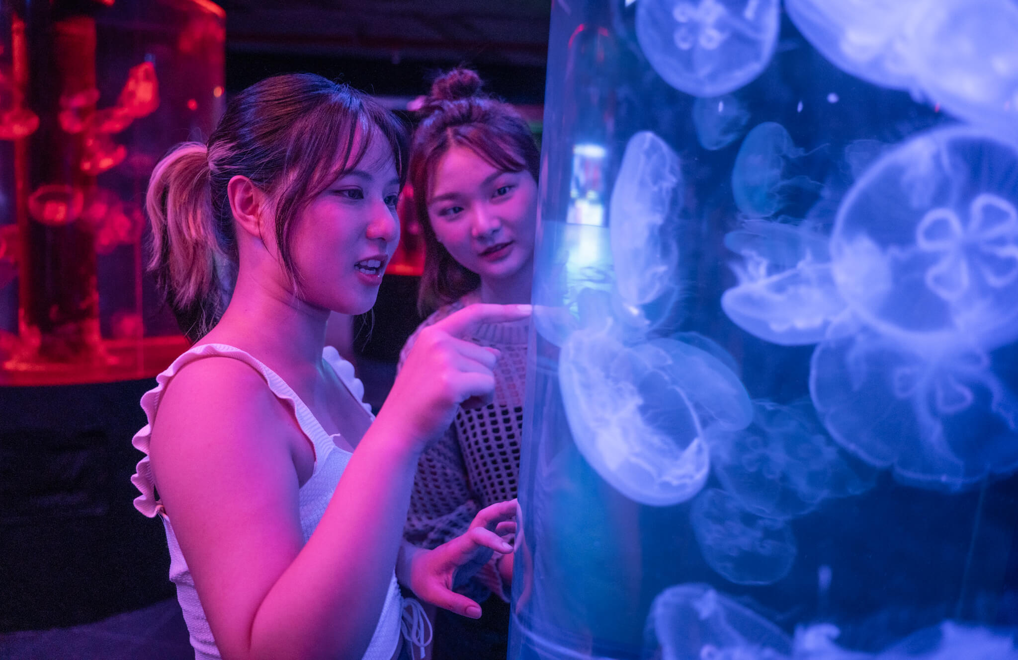 JWSS00674-2.jpg (241 KB)
