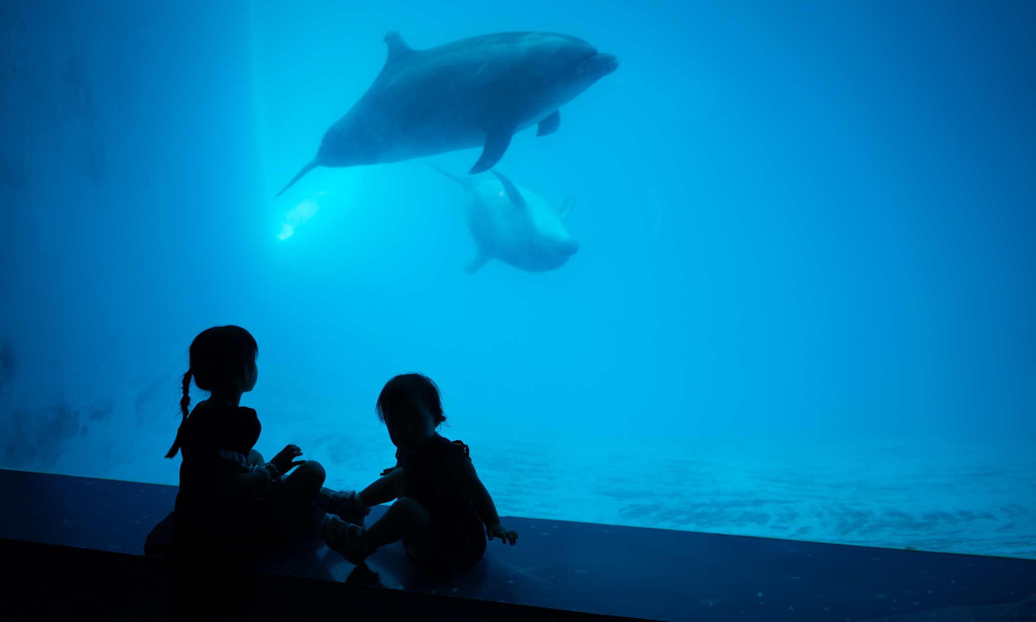 JWSS03566-2.jpg (775 KB)