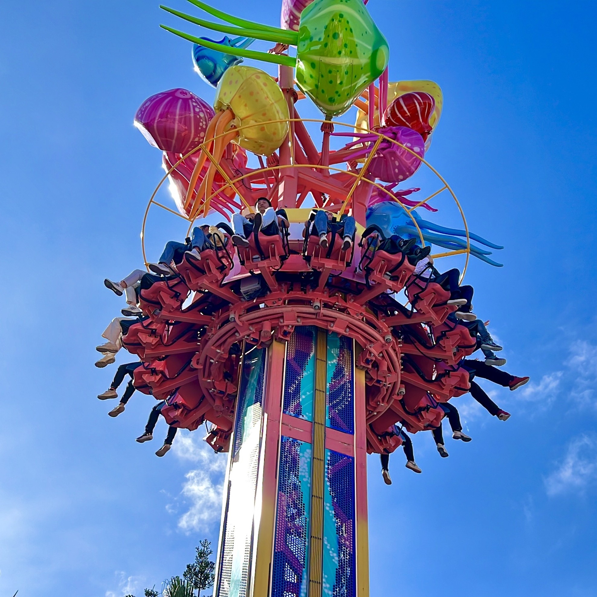 S__1409033.jpg (739 KB)