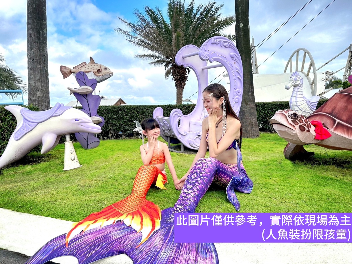 S__31260713.jpg (564 KB)