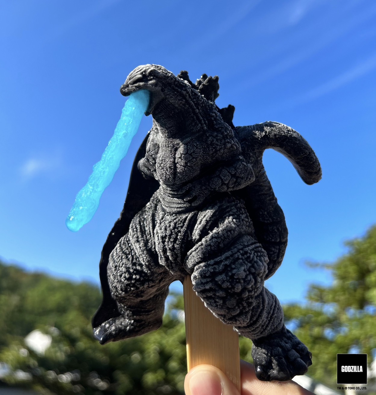 S__31612998.jpg (285 KB)