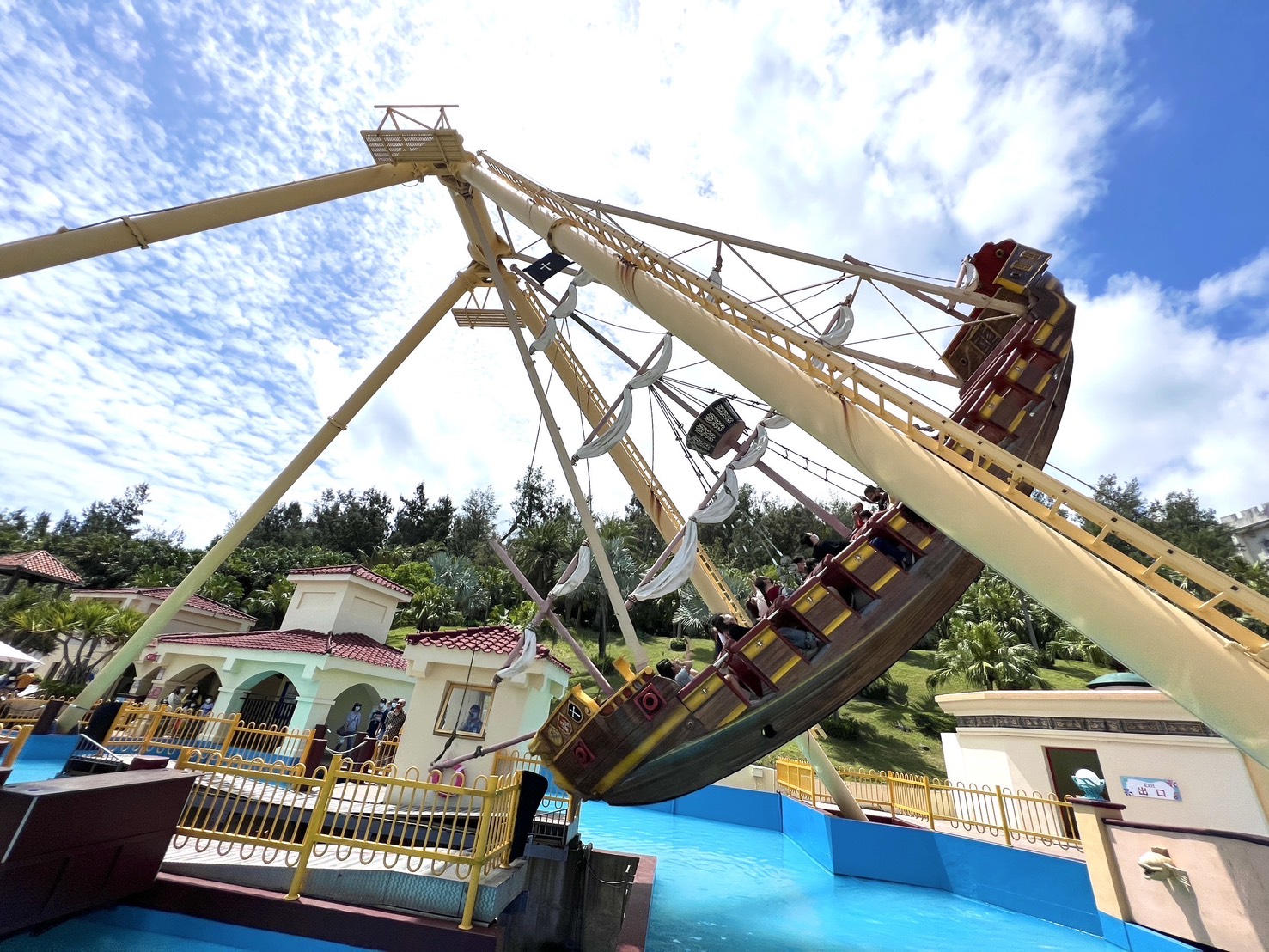 S__35242011.jpg (490 KB)