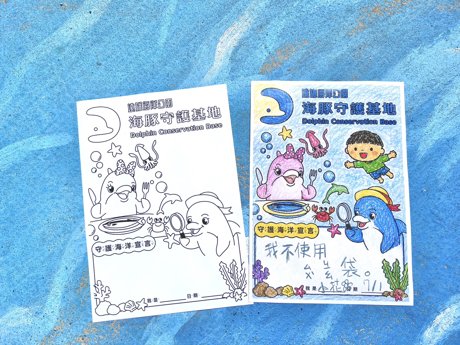 S__40419381.jpg (777 KB)