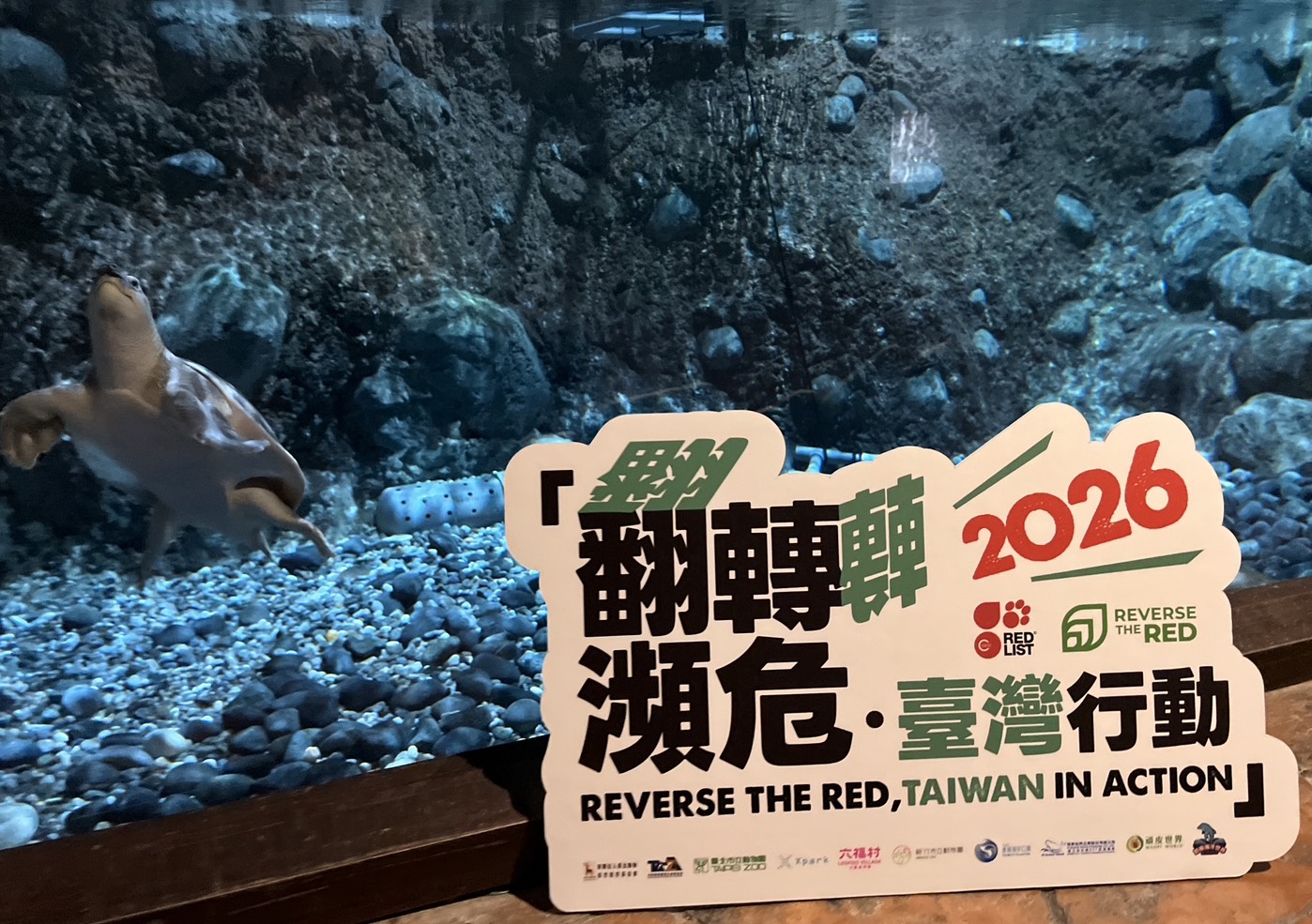 S__4210708_0.jpg (394 KB)