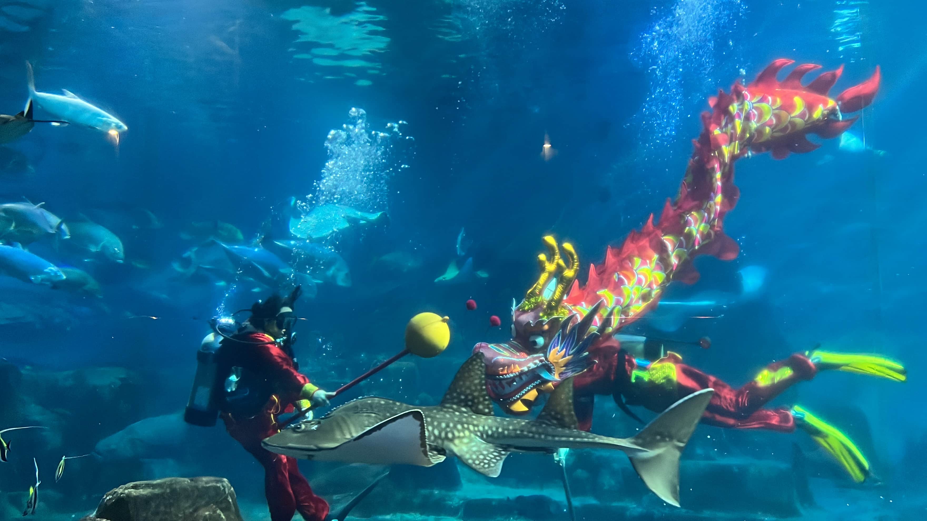 S__86745093.jpg (291 KB)